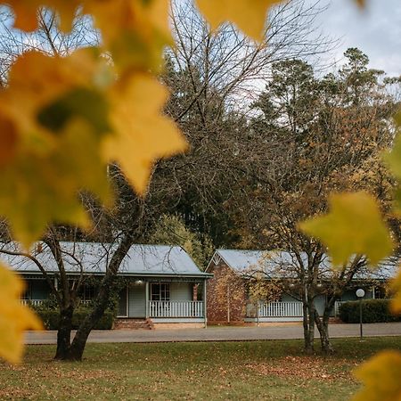 Federation Gardens & Possums Hideaway Villa Blackheath Dış mekan fotoğraf