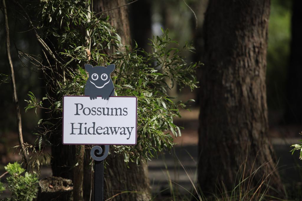 Federation Gardens & Possums Hideaway Villa Blackheath Dış mekan fotoğraf
