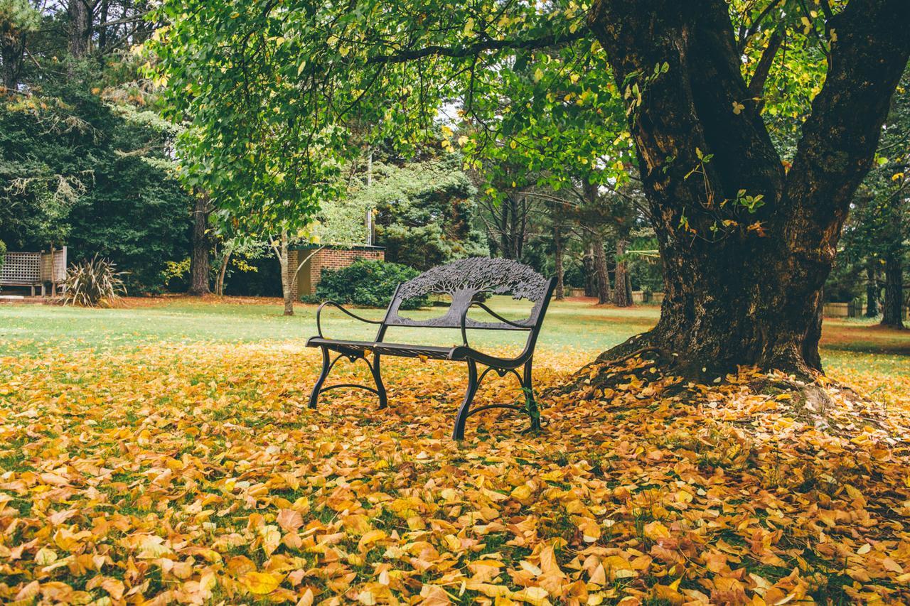 Federation Gardens & Possums Hideaway Villa Blackheath Dış mekan fotoğraf