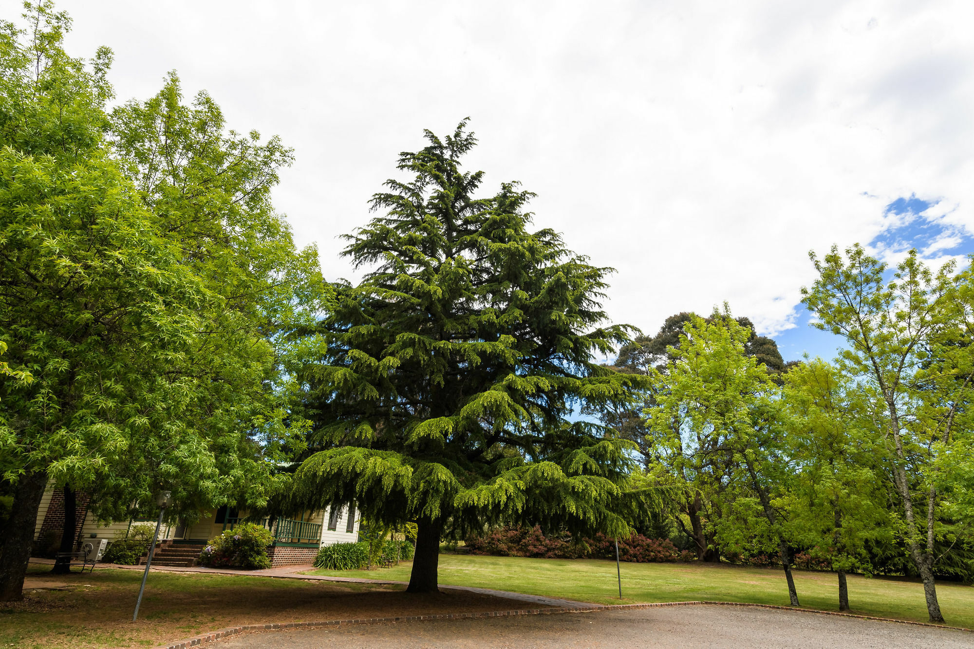 Federation Gardens & Possums Hideaway Villa Blackheath Dış mekan fotoğraf